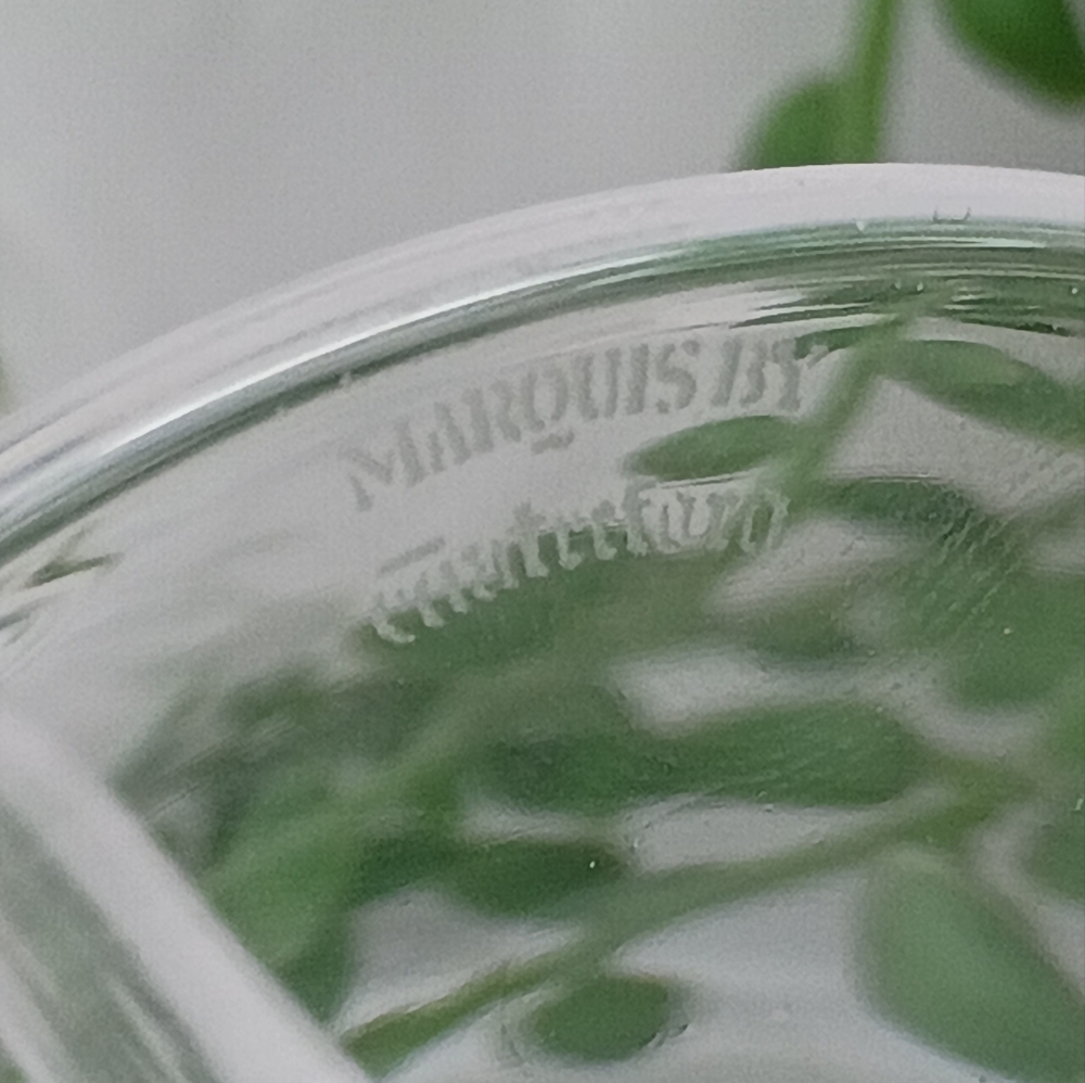 Marquis By Waterford Clear Martini Glasses - Picture 6 of 7